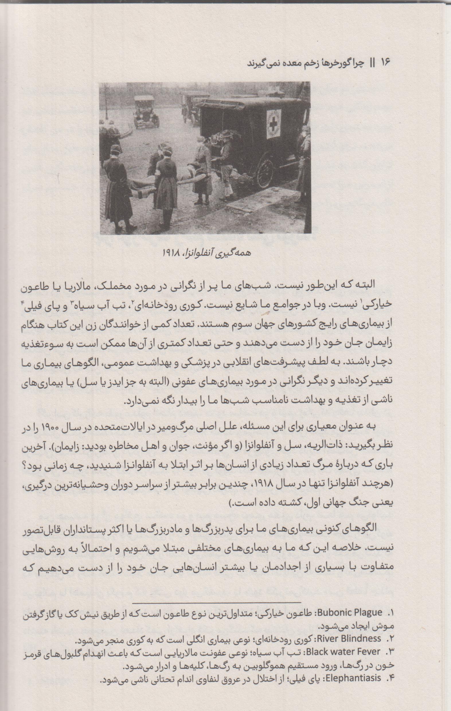 چرا گورخرها زخم معده نمی گیرند